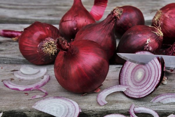 Onion кракен адрес
